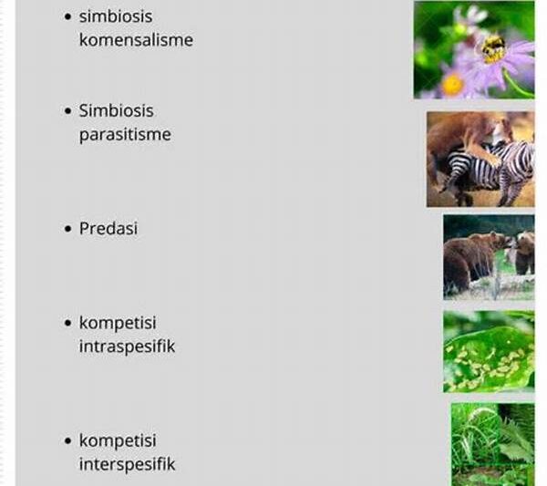 Interaksi Tak Lazim Dengan Spesies Alien