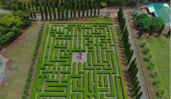 Tantangan Menegangkan Di Dalam Labirin